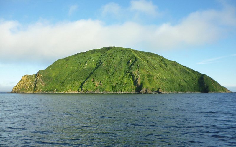 Морские прогулки